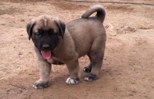 11377331 1620442181530416 4893558729303938965 n